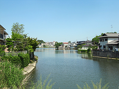 松沢池